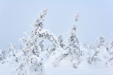 Similar image 21754678