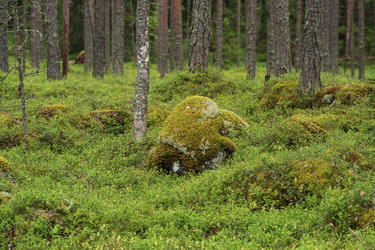 Similar image 21754679