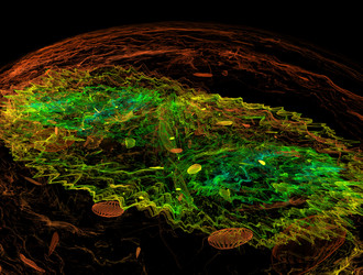 Similar image 21759879