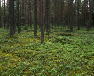 Similar image 21755537