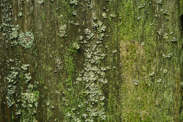 Similar image 21755706