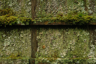 Similar image 21755707