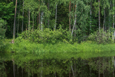 Similar image 21755915