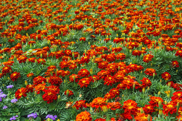 Similar image 21756127