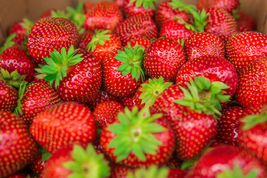 Similar image 21756129