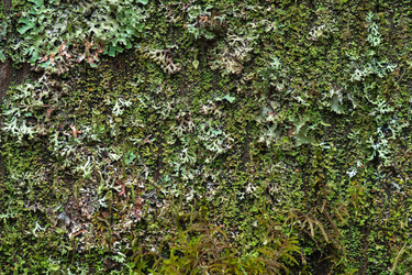 Similar image 21756328