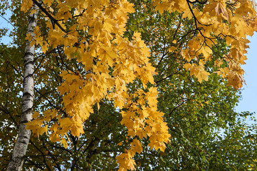 Similar image 21756329