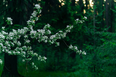 Similar image 21756333