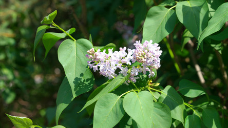 Similar image 21748262