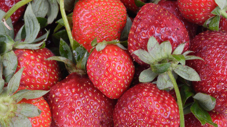 Similar image 21748266