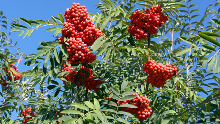 Similar image 21748267