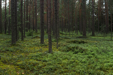 Similar image 21753656