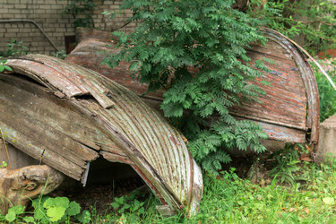 Similar image 21753860