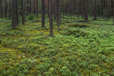 Similar image 21754065