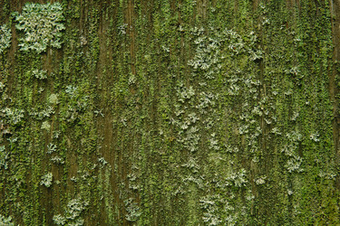 Similar image 21754264