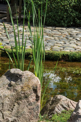 Similar image 21754482