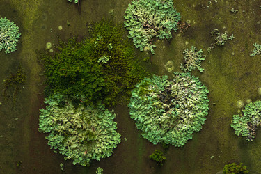 Similar image 21754483