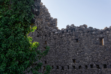 Similar image 21754937