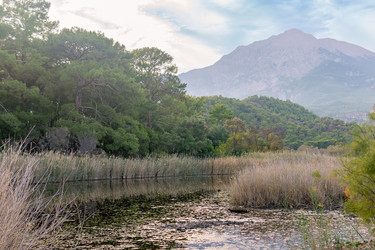 Similar image 21755099