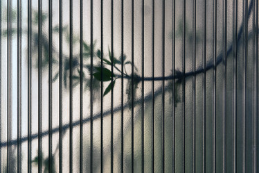 Similar image 21755548