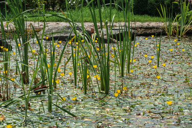 Similar image 21755551