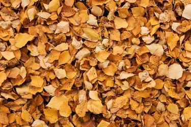 Similar image 21756510