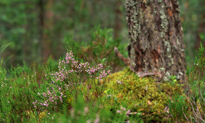 Similar image 21748279