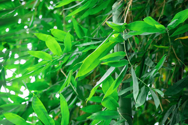 Similar image 21748281