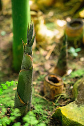 Similar image 21748284