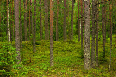 Similar image 21748285