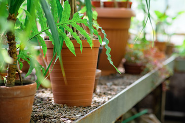 Similar image 21752424