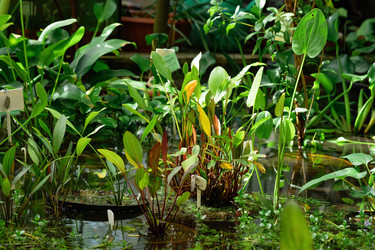 Similar image 21752430