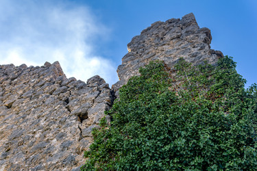 Similar image 21753013