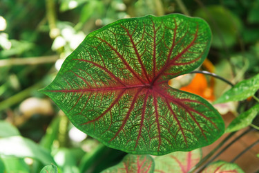 Similar image 21753873