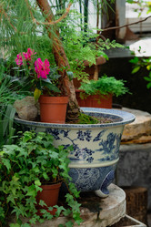 Similar image 21753878