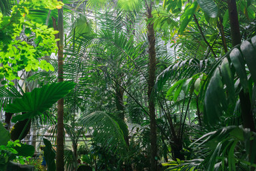 Similar image 21753880