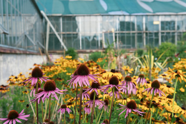 Similar image 21754492