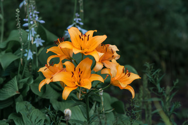 Similar image 21754690