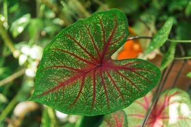 Similar image 21754948