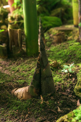 Similar image 21755101