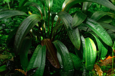 Similar image 21755102