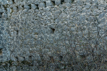 Similar image 21755555