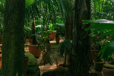 Similar image 21755727