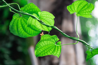 Similar image 21755730