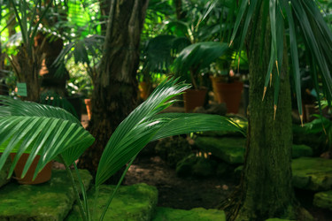 Similar image 21755733