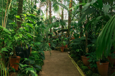 Similar image 21755924