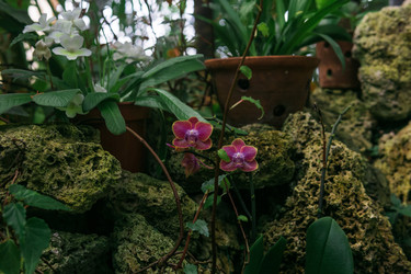 Similar image 21755926