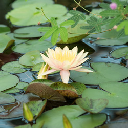 Similar image 21755934