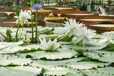 Similar image 21756133