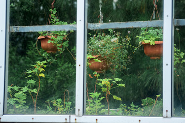 Similar image 21756134